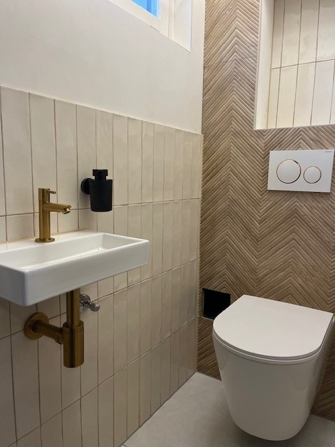 Toilet Kitten Den Haag